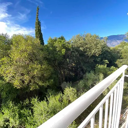 Alexander Spartia (Kefalonia)