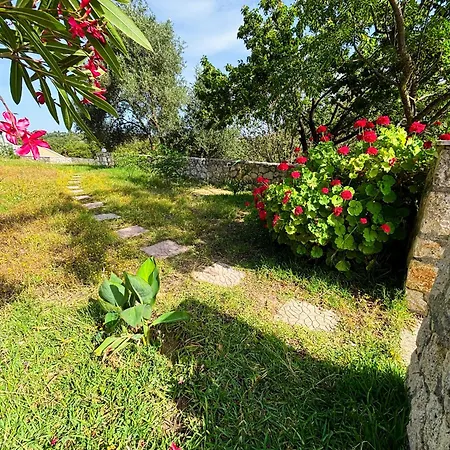 Alexander Lejlighed *